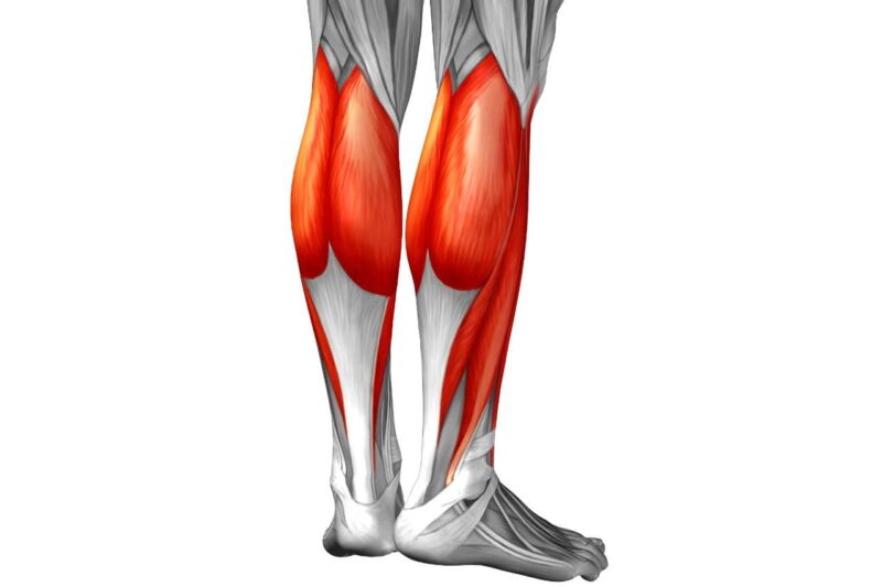 Estiramiento gemelos y sóleo Fisioterapia en Forma